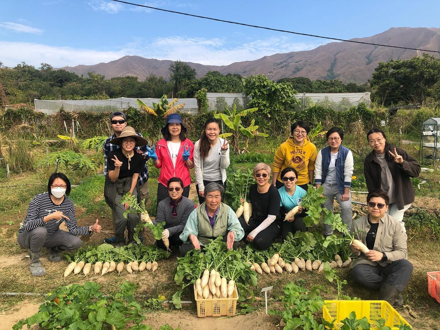 AuLaw Organic Farm have supplied fresh organic produce to their community since 2010 and continues to promote organic and regenerative farming in Hong Kong (Photo: Facebook / @aulawfarm)