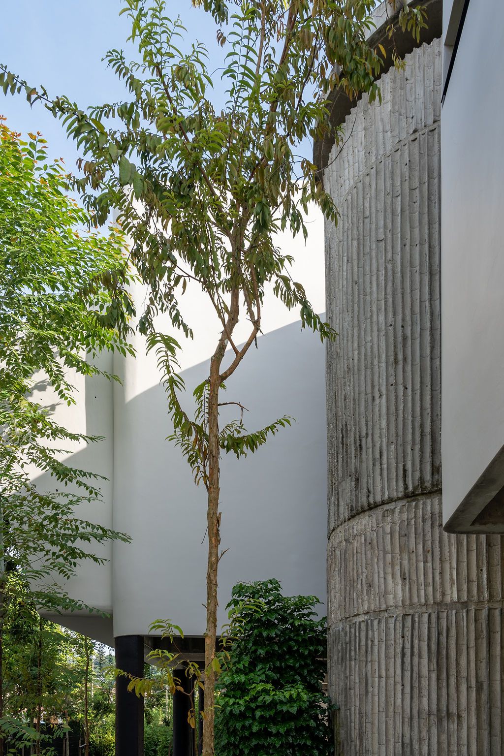 Greenery softend the concrete
