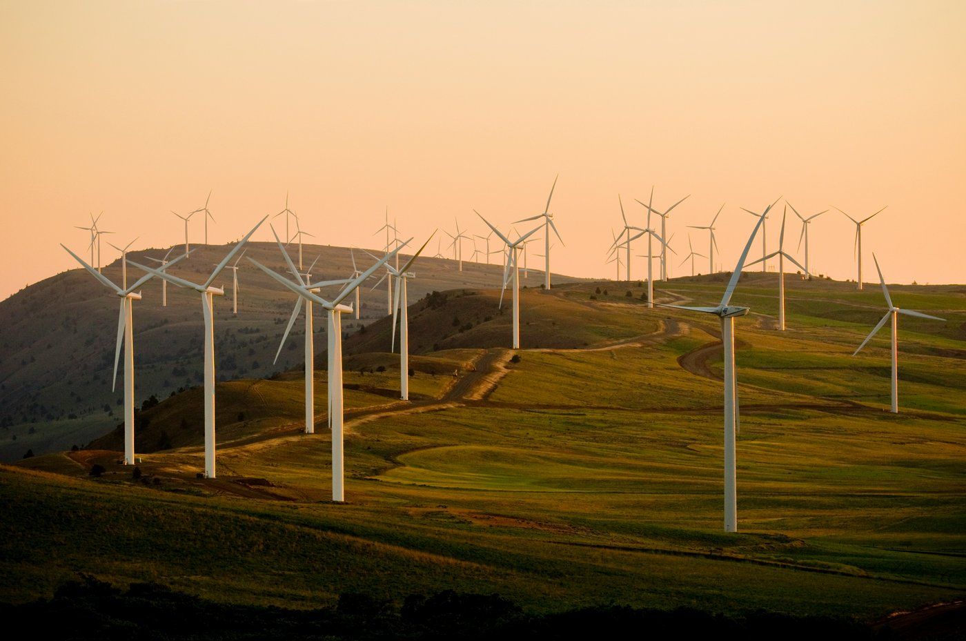 The amount of energy generated from wind and other decarbonised technologies is growing at exponential rates. The amount of energy generated from wind and other decarbonised technologies is growing at exponential rates