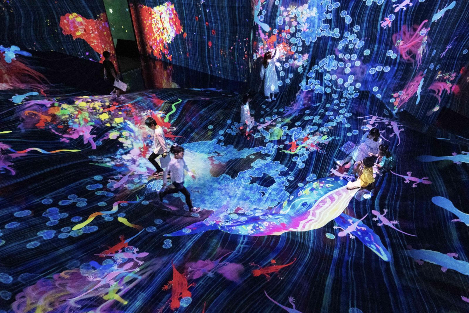 6月行事曆：teamLab 共創！未來園