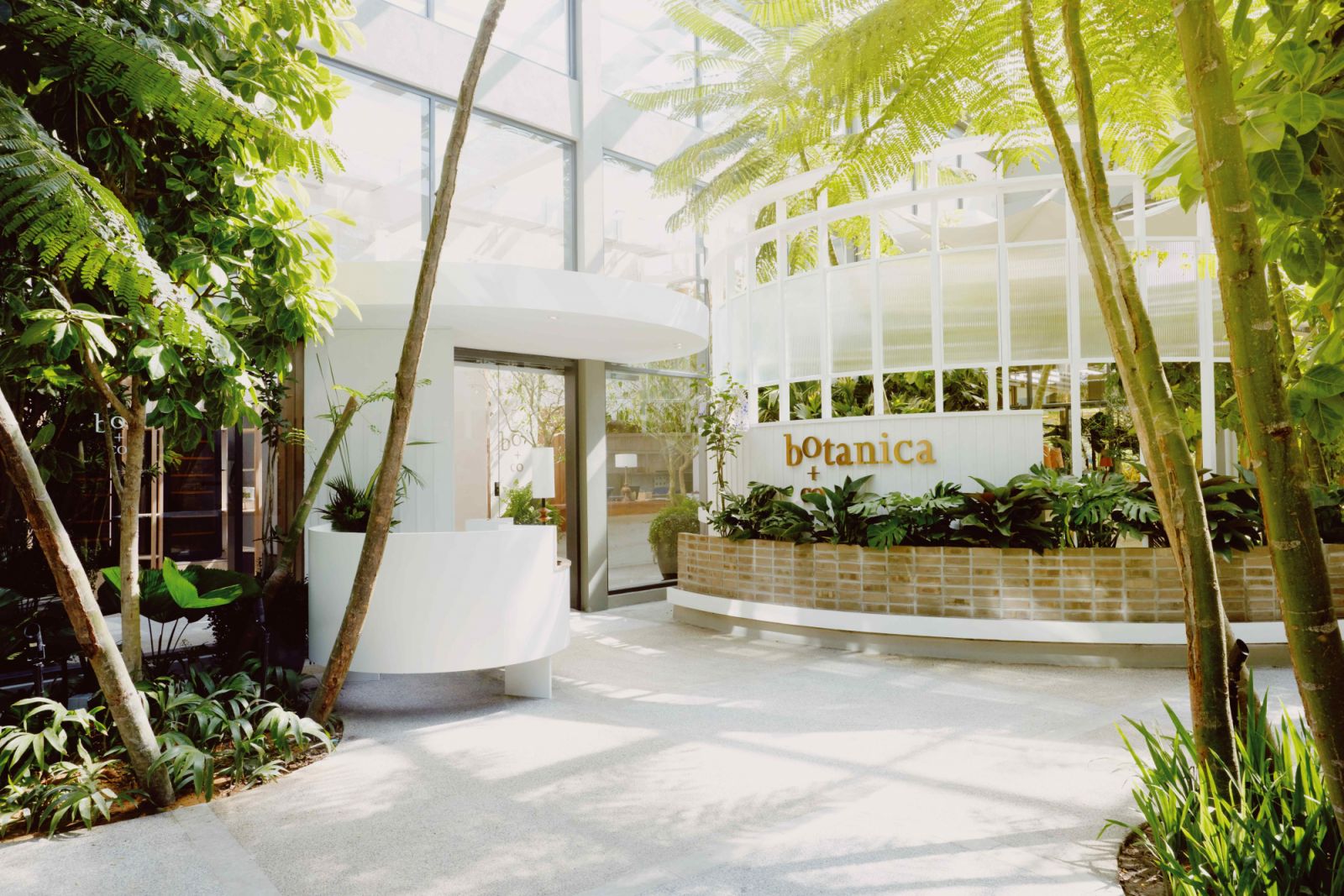 Botanica+Co evokes the feeling of dining outdoors amidst lush greenery (Photo: Botanica+Co)