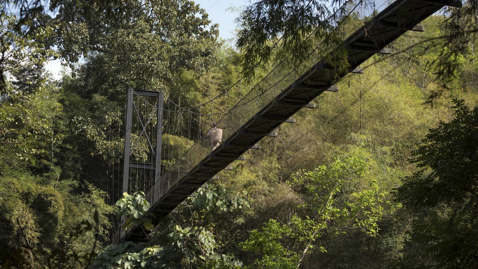 The path to the Four Seasons Thailand spa through the resort's lush greenery