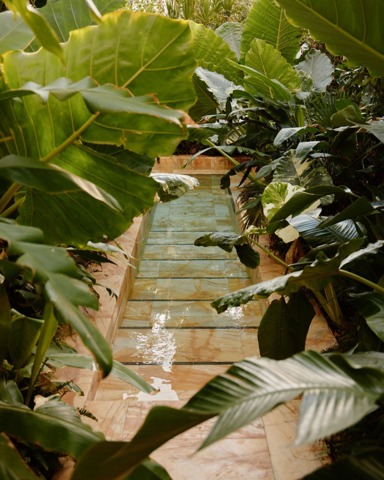 Take a dip in the clear Garden Club waters