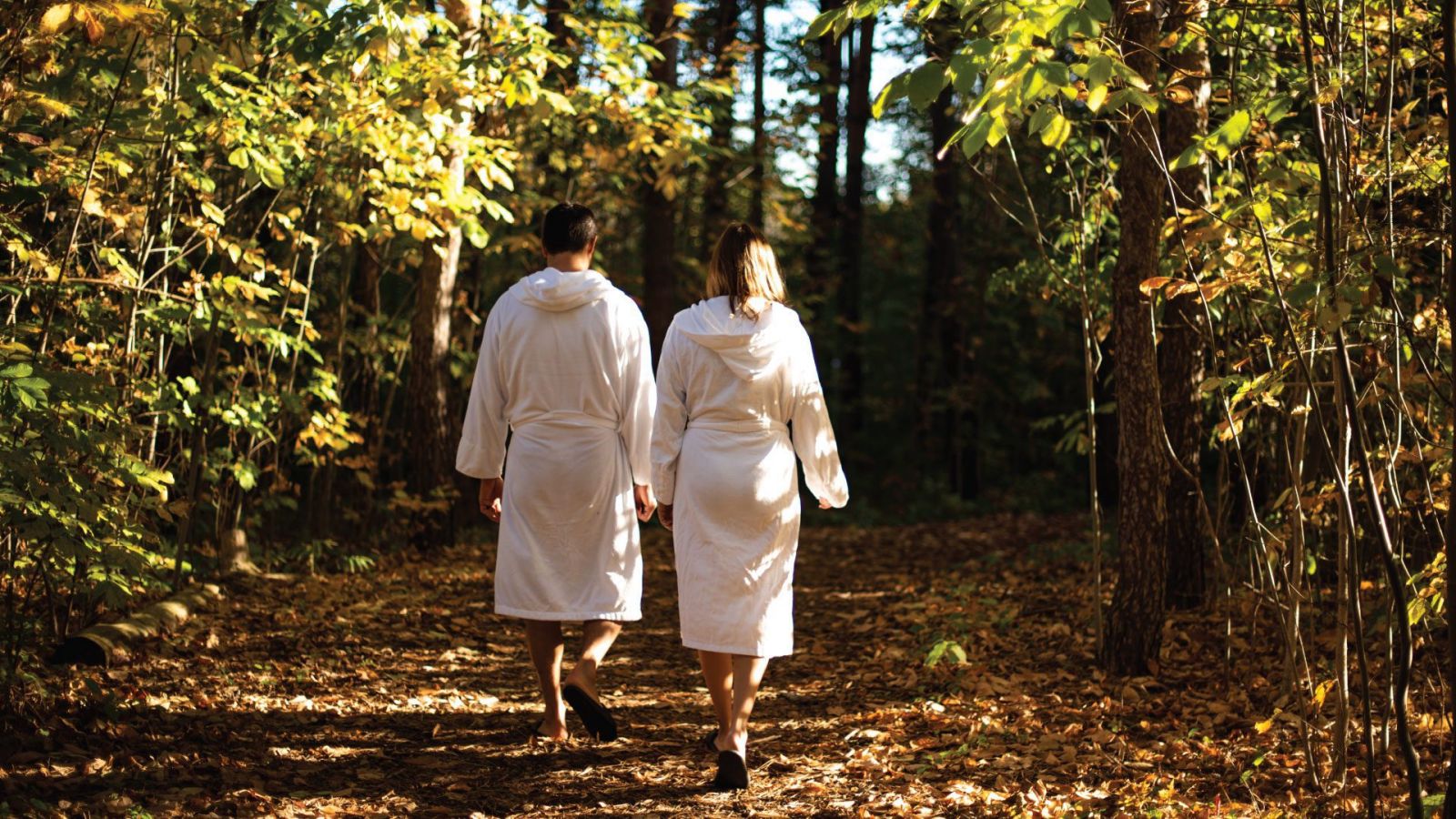 Break up your swimming and massage treatments with a walk in the beautiful Whistler forest