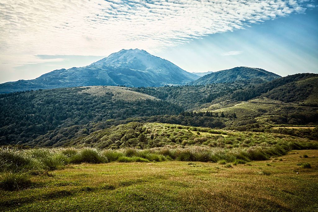 YANGMINGSHAN, TAIPEI, TAIWAN - 2016/08/30: The Qingtiangang area of Yangmingshan National Park is an easily accessed and popular location. People come here for the views and hoping to catch a glimpse of some of the last remaining cattle that roams the grasslands. (Photo by Craig Ferguson/LightRocket via Getty Images)