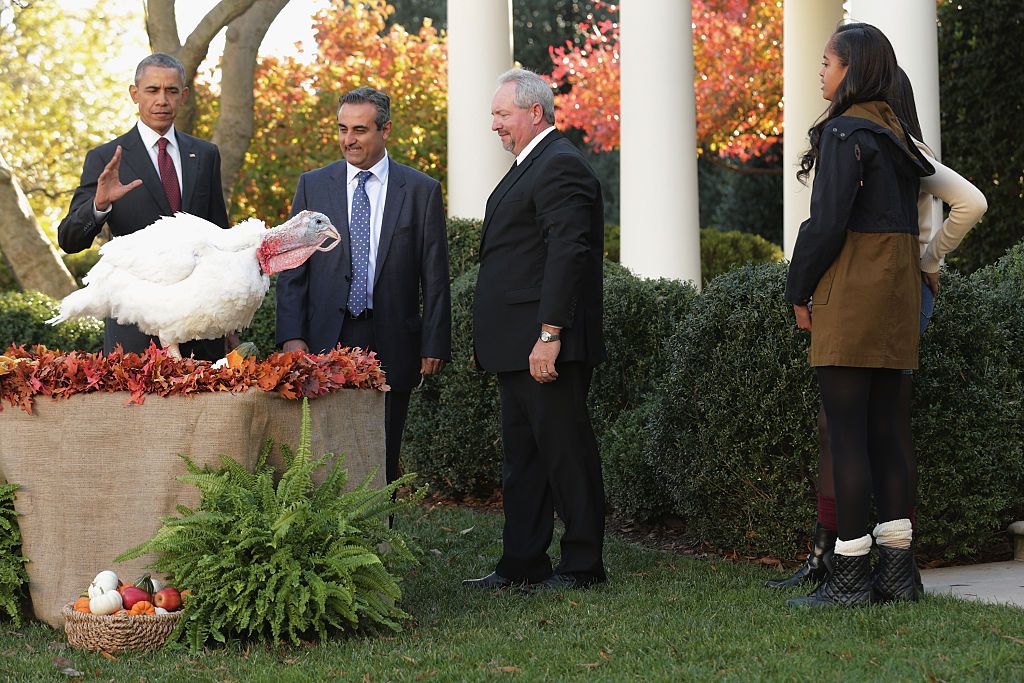WASHINGTON, DC - NOVEMBER 25: U.S. President Barack Obama (L) "pardons" Abe, a 42-pound male turkey during a ceremony with National Turkey Federation Chairman Jihad Douglas (2nd L), turkey farmer Joe Hedden and Obama's daughters Sasha and Malia in the Rose Garden at the White House November 25, 2015 in Washington, DC. In a tradition dating back to 1947, the president pardons a turkey, sparing the tom -- and his alternate -- from becoming a Thanksgiving Day feast. This year, Americans were asked to choose
