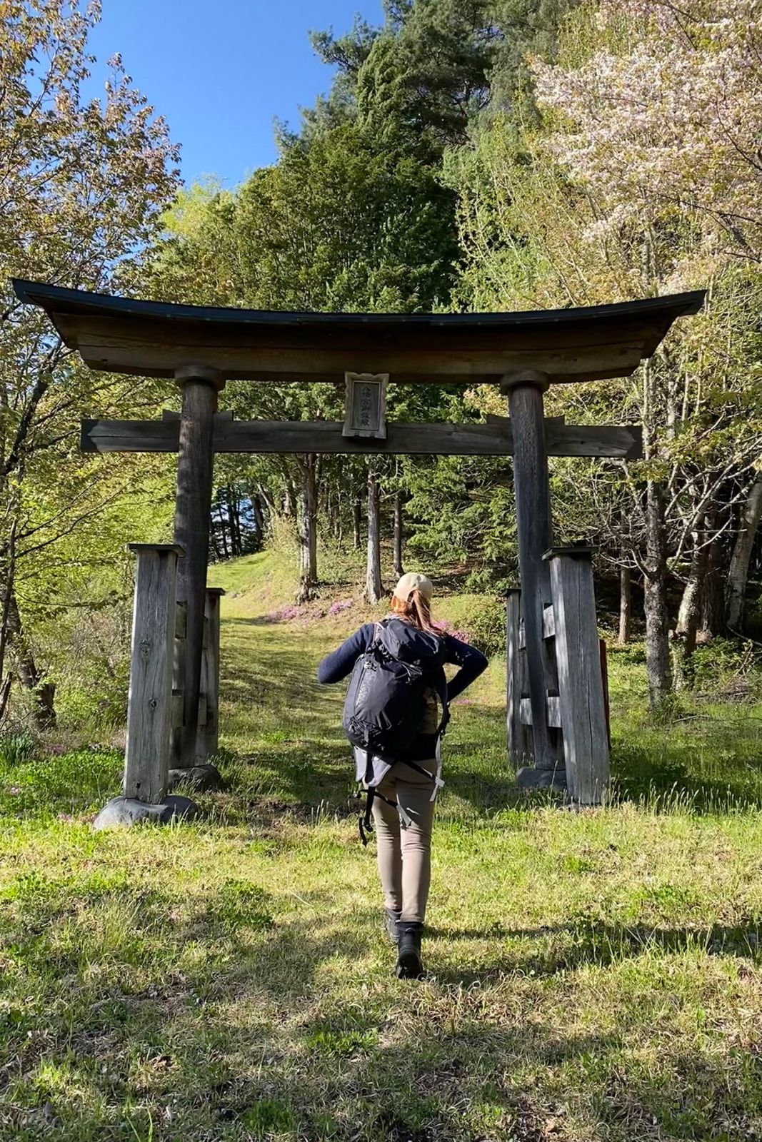 A torii gate in the woods