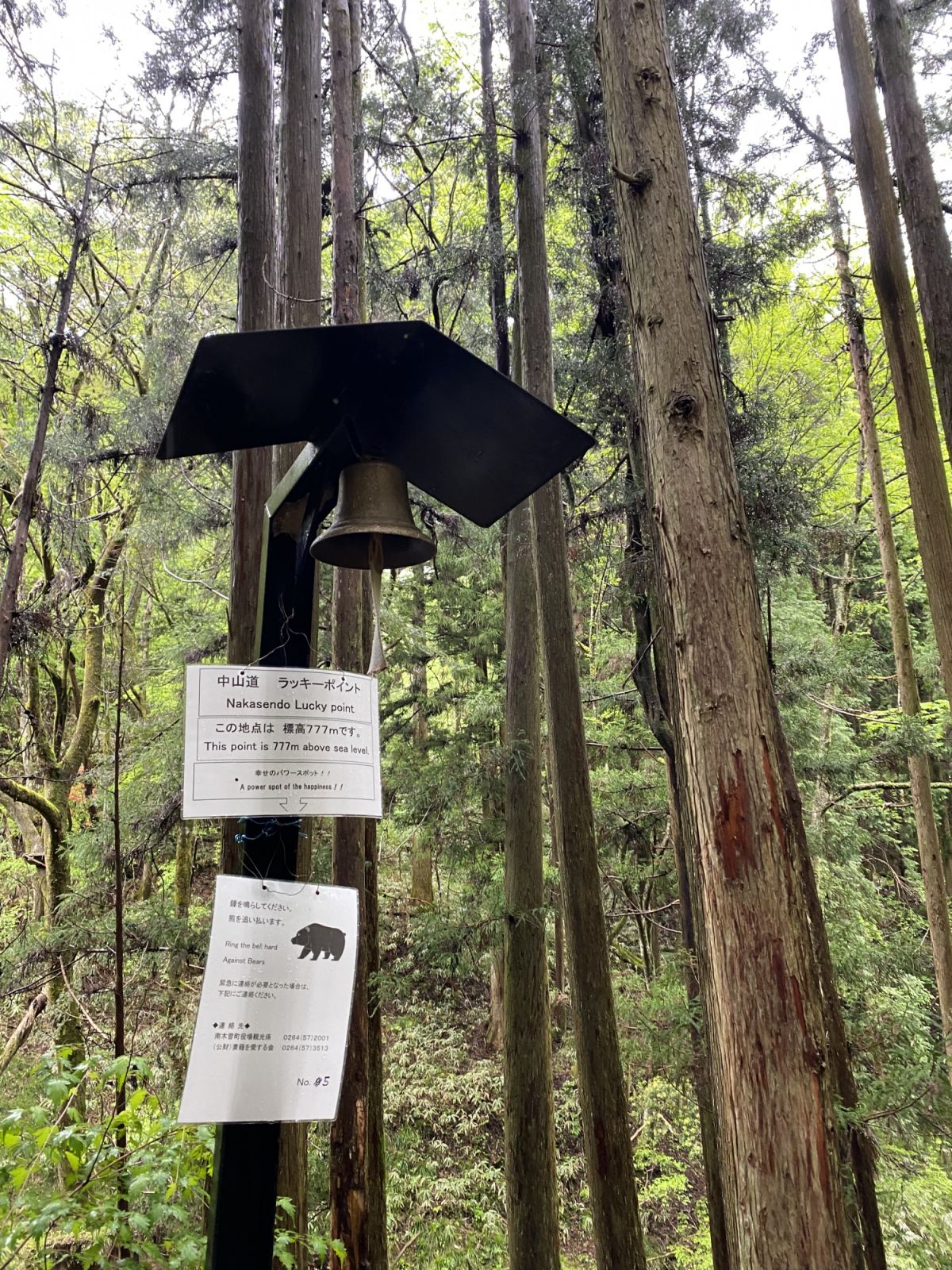 Bells for warning away black bears