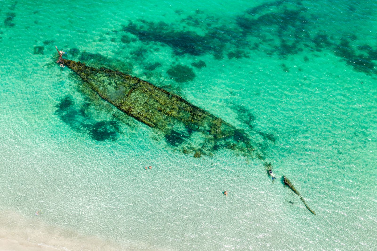 Snorkel in Coogee Beach to see The Omeo Shipwreck (Photo: Getty Images)