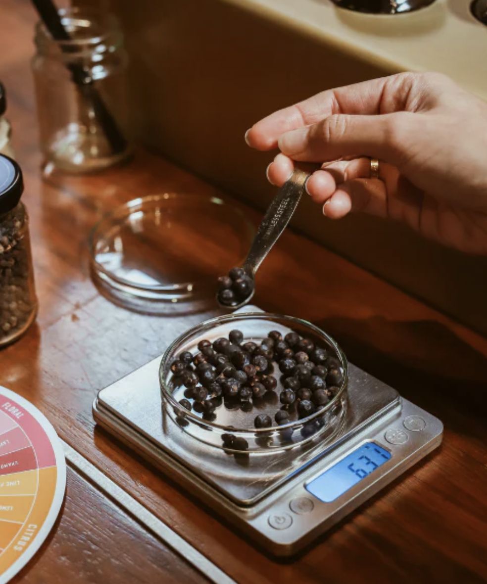 Gin School at Republic of Fremantle (Photo: Republic of Fremantle)