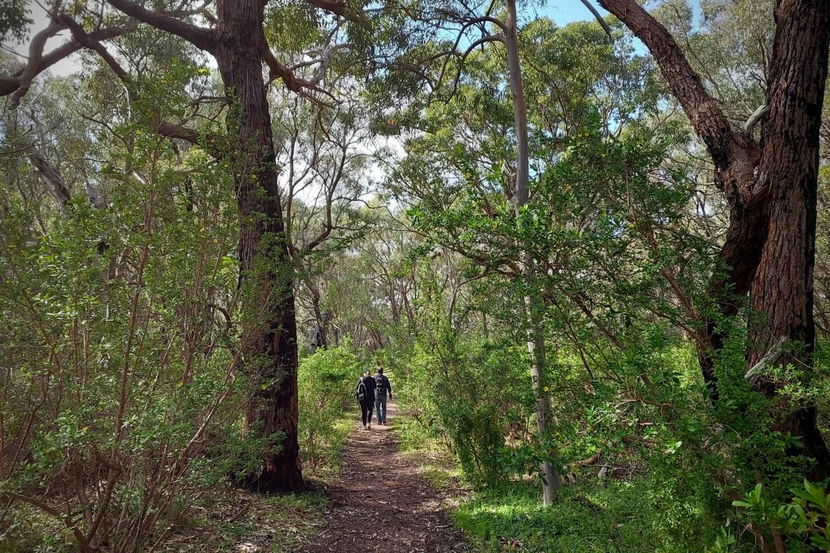 Yanchep National Park (Photo: Government of Western Australia)