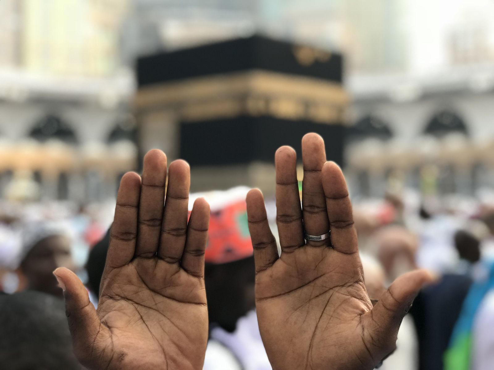 Pilgrims in Al-Haram Mosque: 2019-04-22