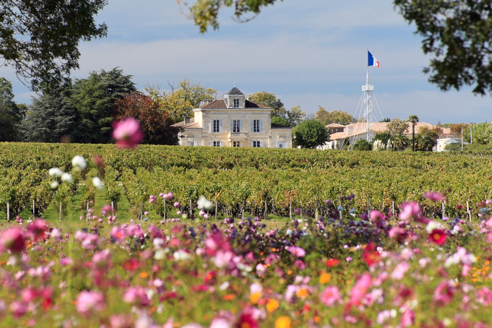 Vue ŽloignŽe du ch‰teau, au premier plan une prairie fleurie.
