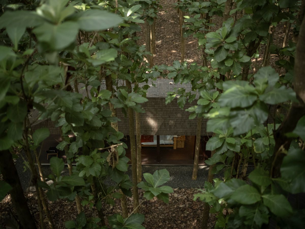 A close aerial view of the verdant surroundings with the villa nestled in the middle of everything