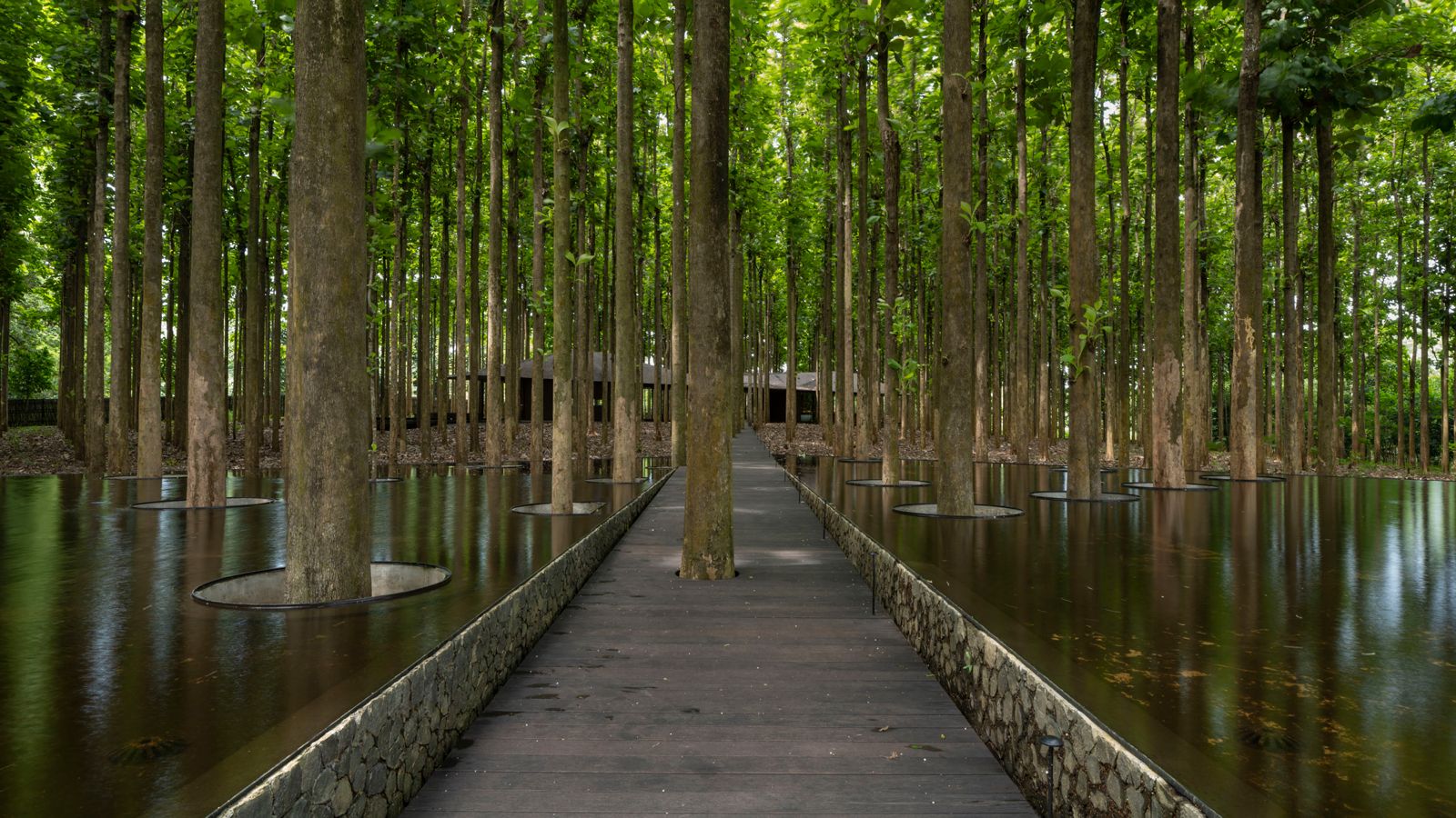 A wooden boardwalk flanked by shallow pools leading up to the villa