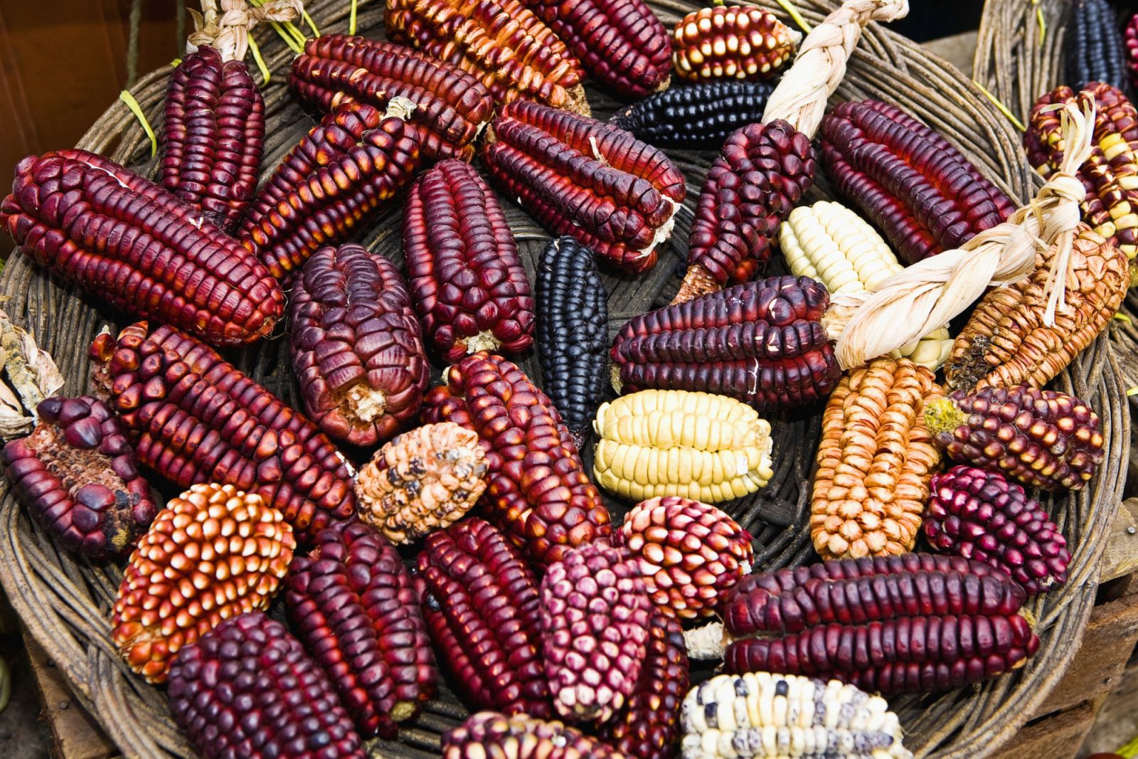 Heirloom corn and potatoes formed the foundations of Peruvian cuisine before colonisation (Photo: Getty Images)