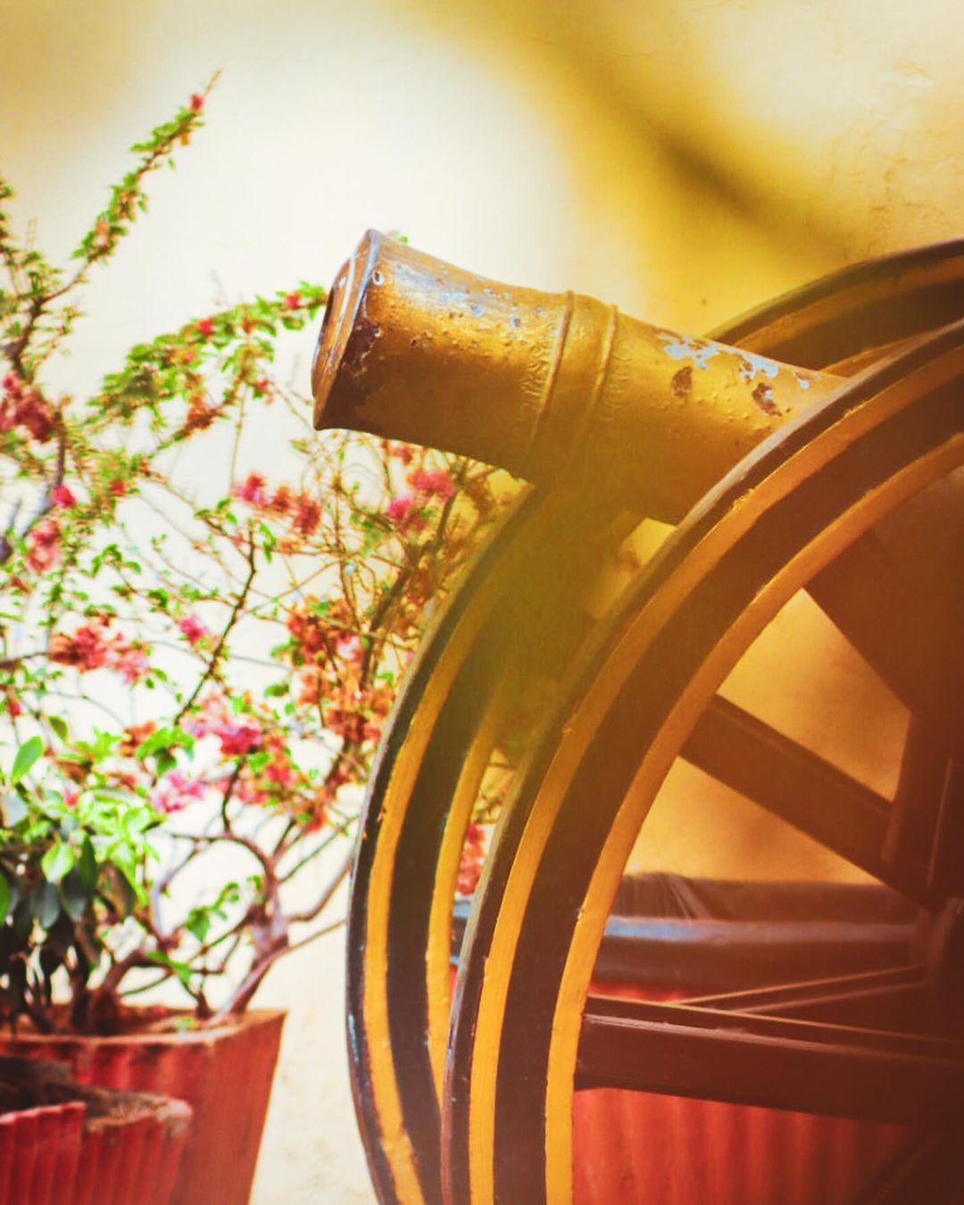 Cannon at City Palace, Jaipur (Photo: Instagram / Prince and the Peacock @princeandthepeacock)