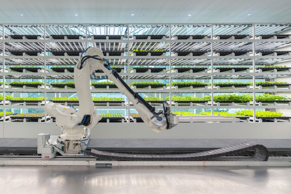 Vertical smart farm