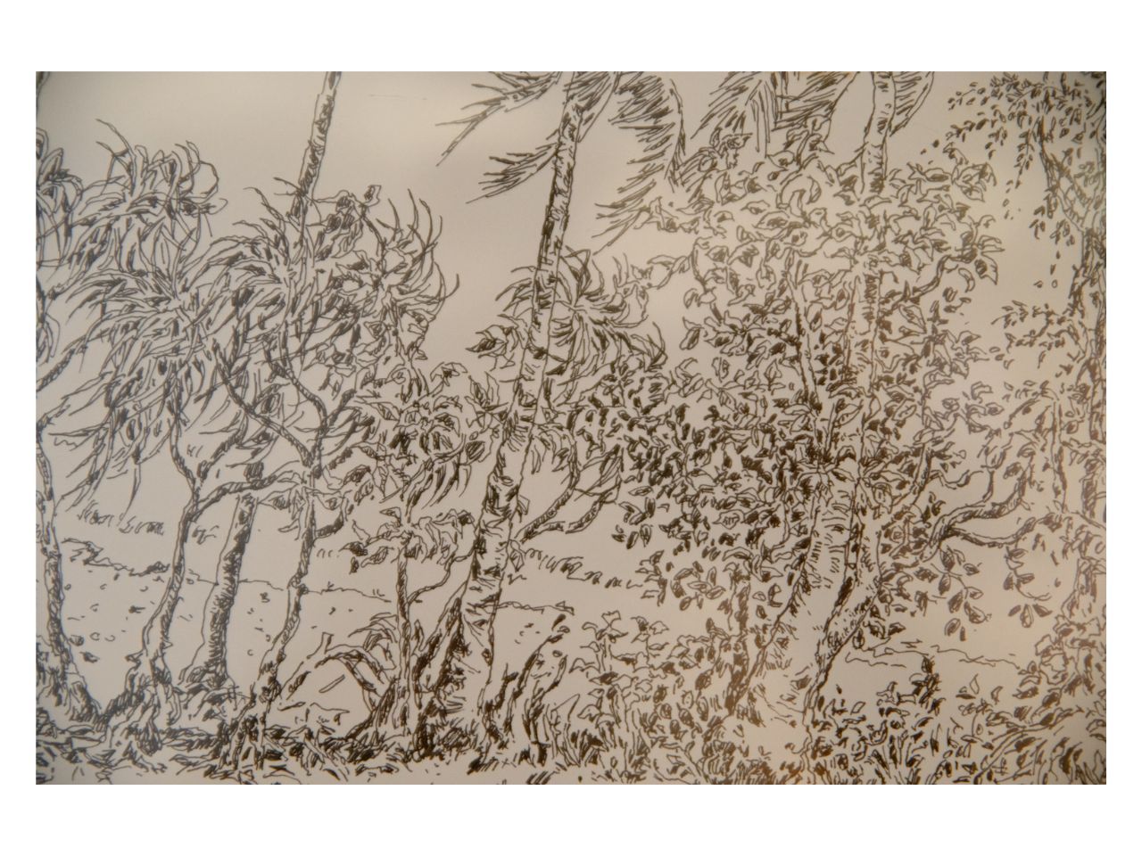 Chang often sketches with pens before revisiting the work in watercolour