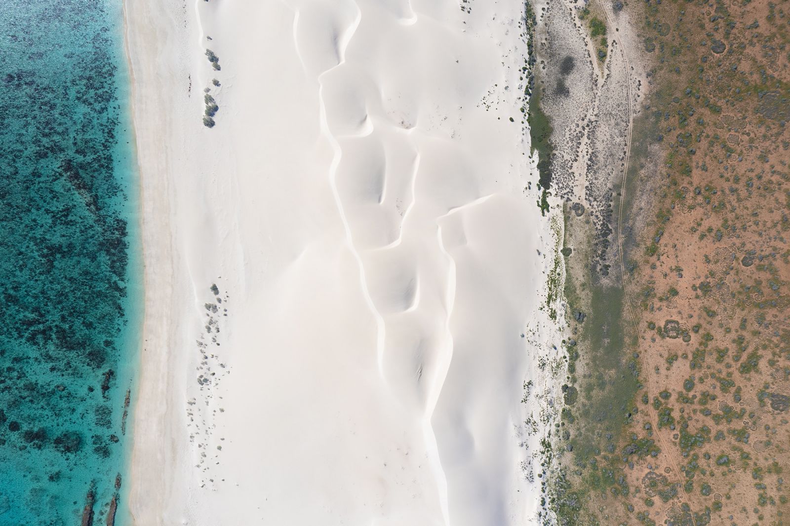 Monkey Mia (Photo: Tourism Western Australia)