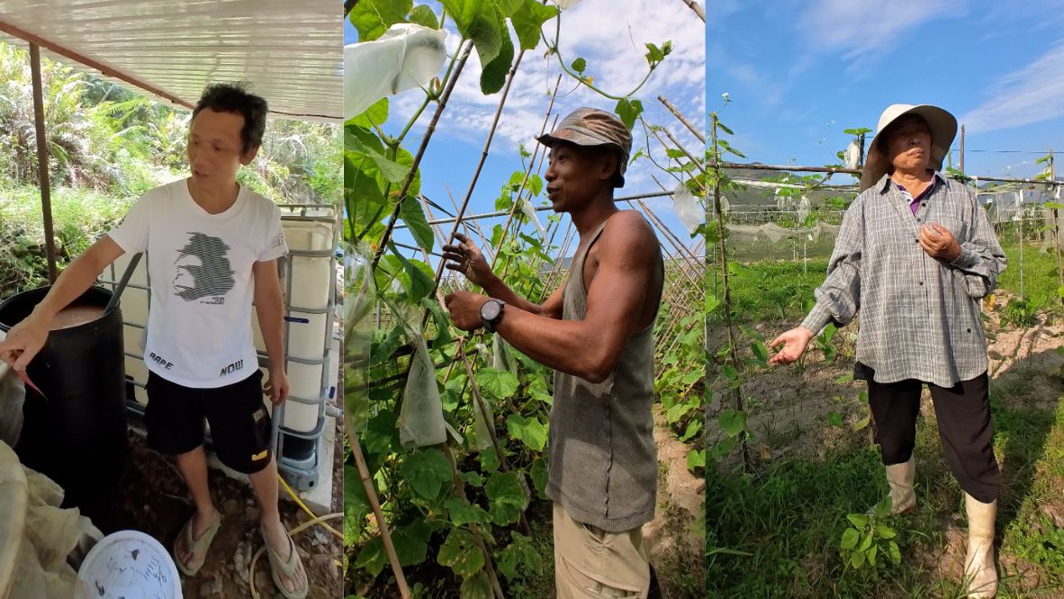From left: Chan Pat Fan (Cham Shan Farm), Chow Sze Chung (Sangwoodgoon) and Wong Li Qin, aka “Big Sister” (AuLaw Organic Farm) (Photo: Khoa Tran / Tatler Asia)