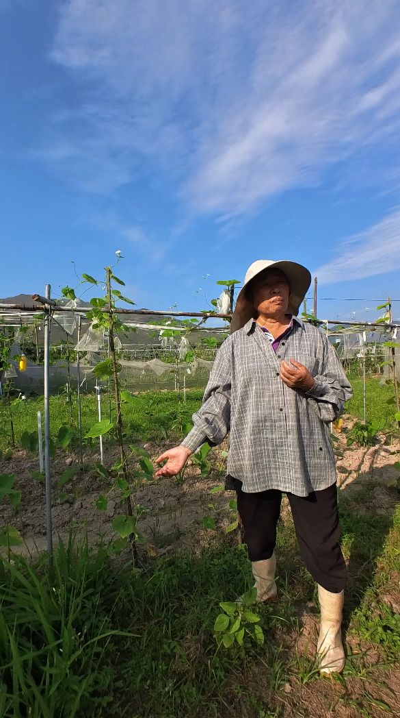 Farmer Wong Li Qin has been implementing organic farming techniques for 12 years but already sees promising results from recently incorporating regenerative techniques (Photo: Khoa Tran / Tatler Asia)
