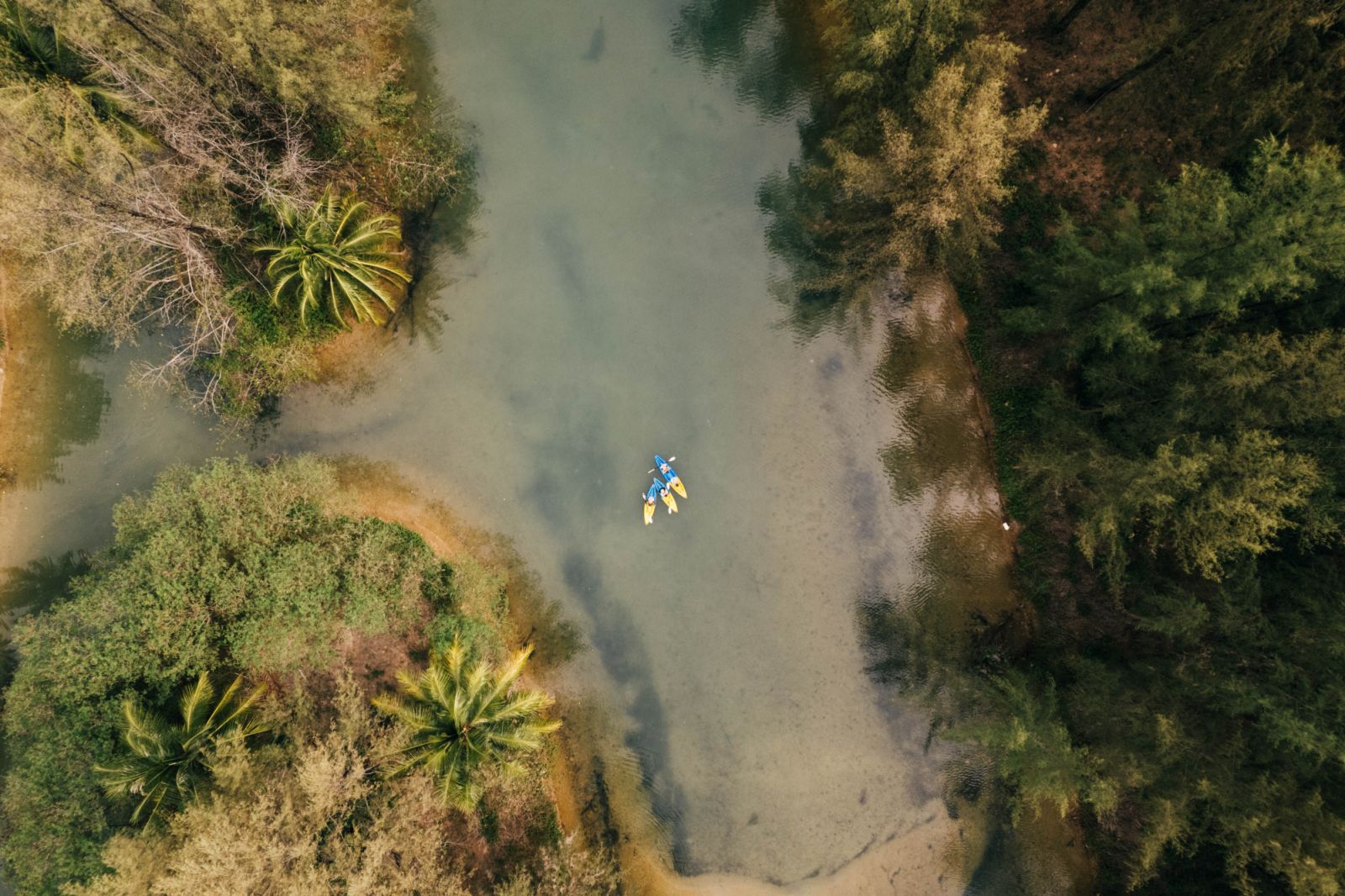 Forest Bathing Devasom Khao Lak
