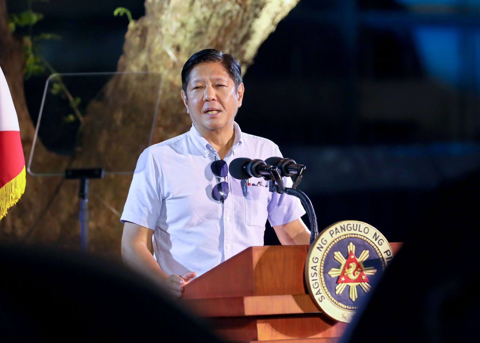 President Ferdinand "Bong Bong" Marcos Jr addresses the nation (Photo: DHSUD)