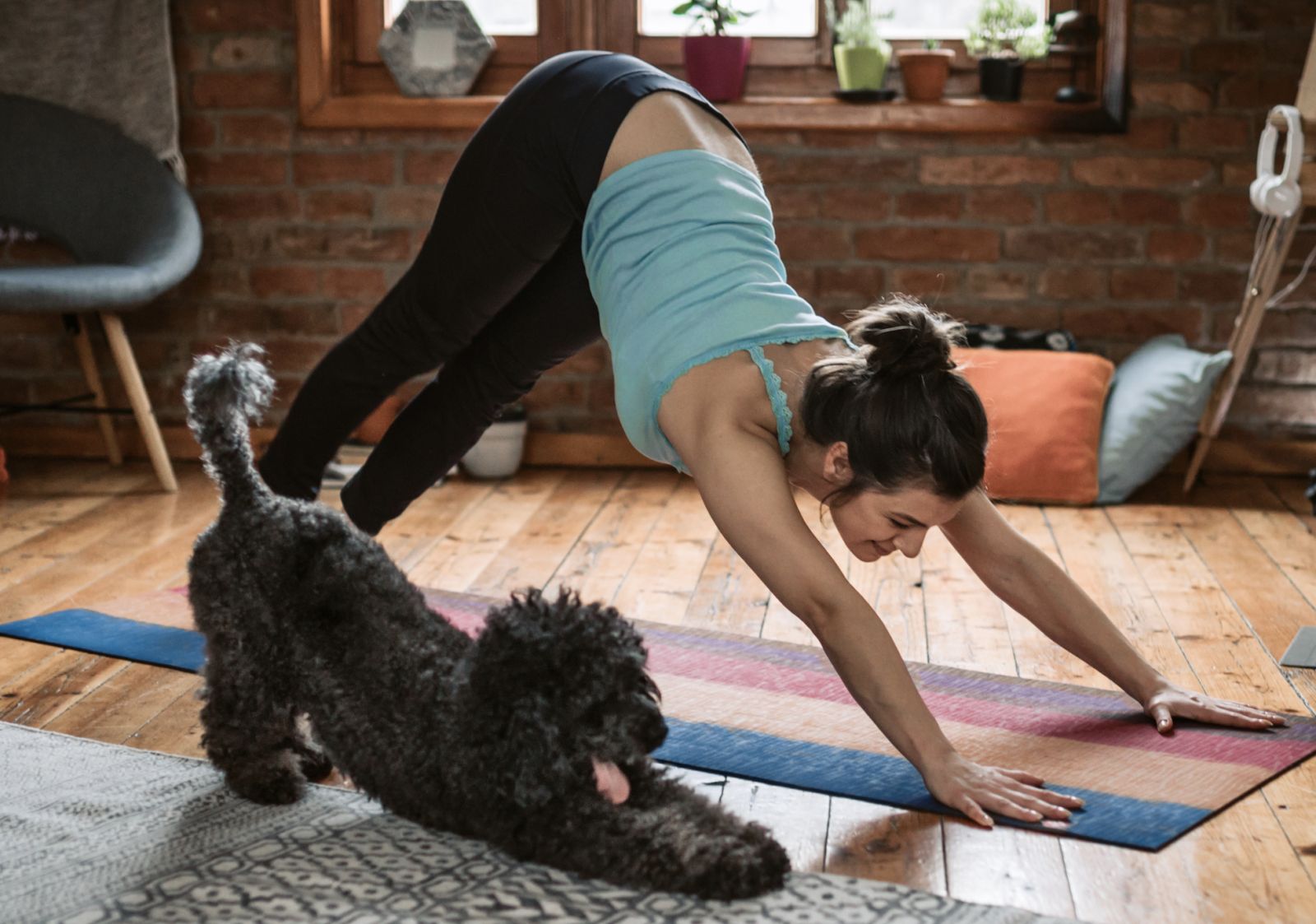 A woman doing stretches with her dog (Photo from Getty Images)