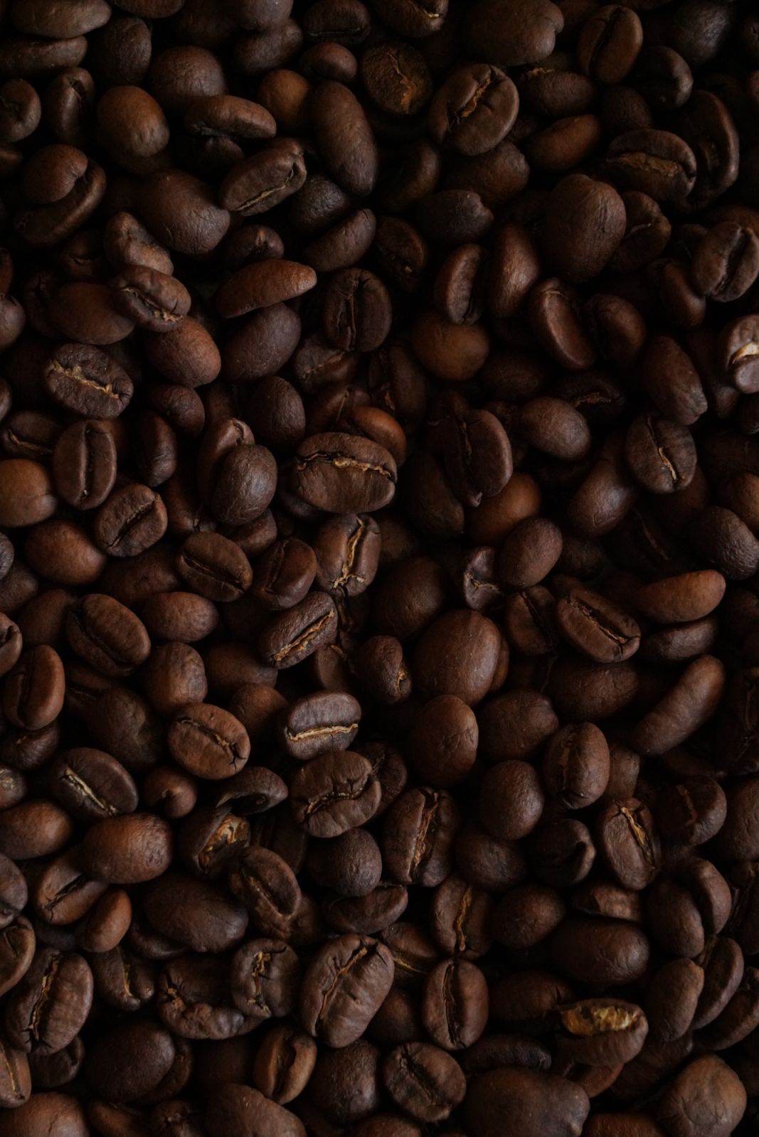 Coffee beans (Photo: Dupe Photos)
