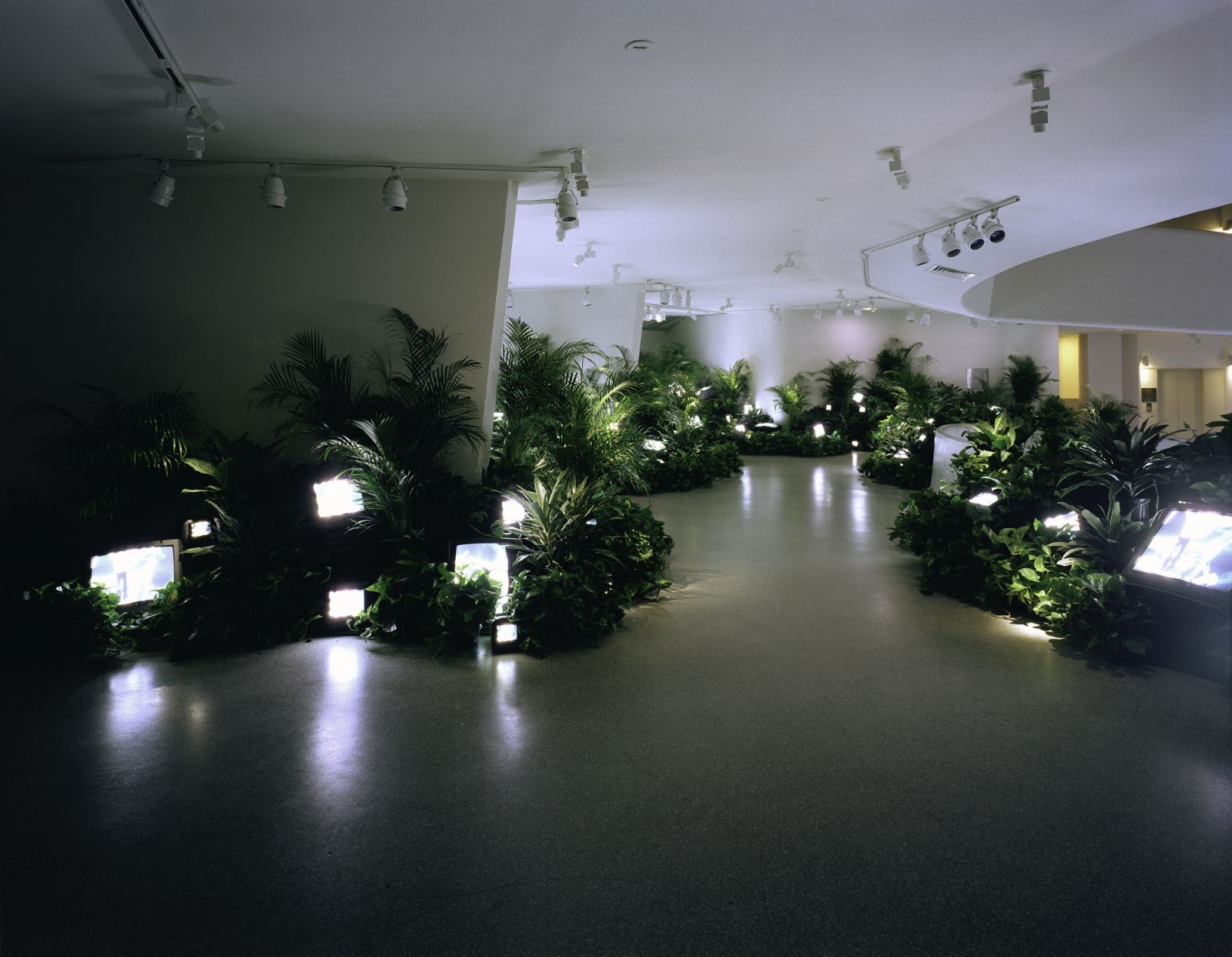 Installation view of "The Worlds of Nam June Paik" (2000) at the Solomon R. Guggenheim Museum, New York (Photo: David Heald, courtesy © Solomon R. Guggenheim Foundation, New York)