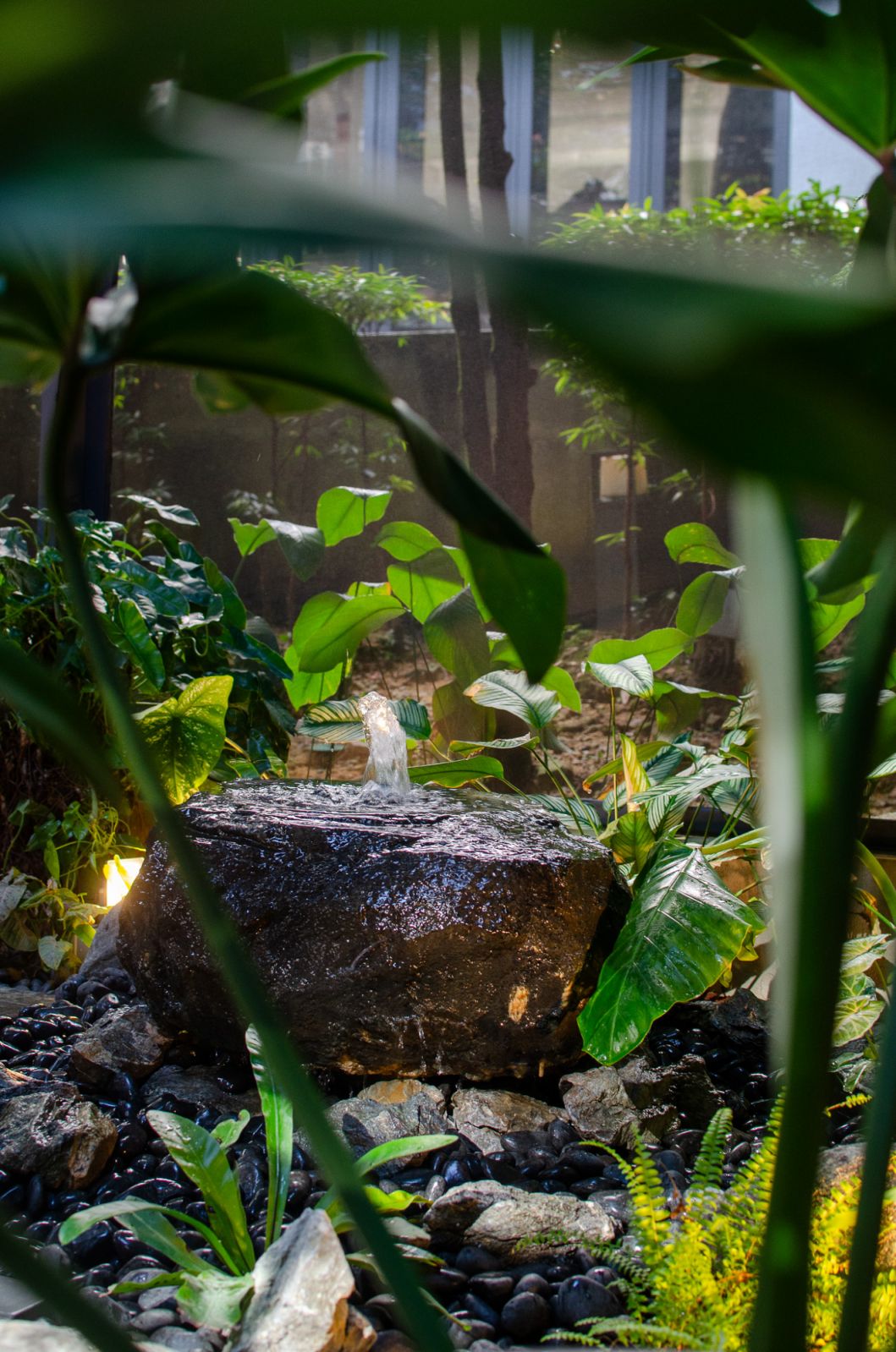 Greenery abounds