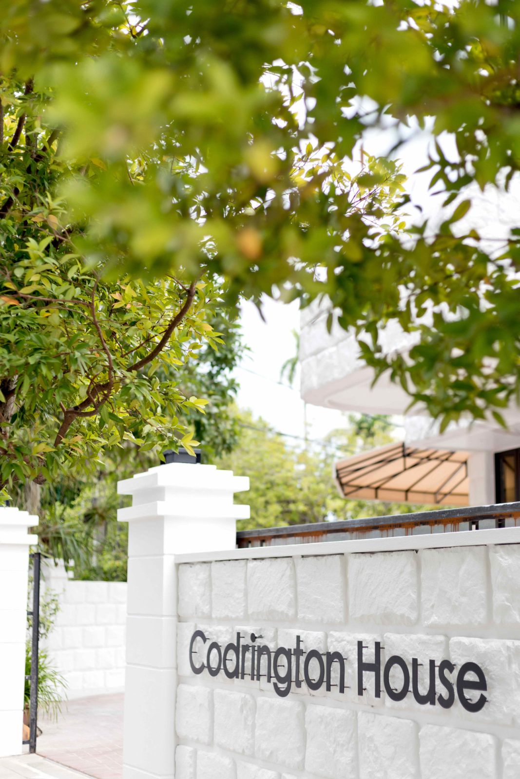 Serenity amidst the vibrant district of Pulau Tikus (Photo: Courtesy of CEED Design)