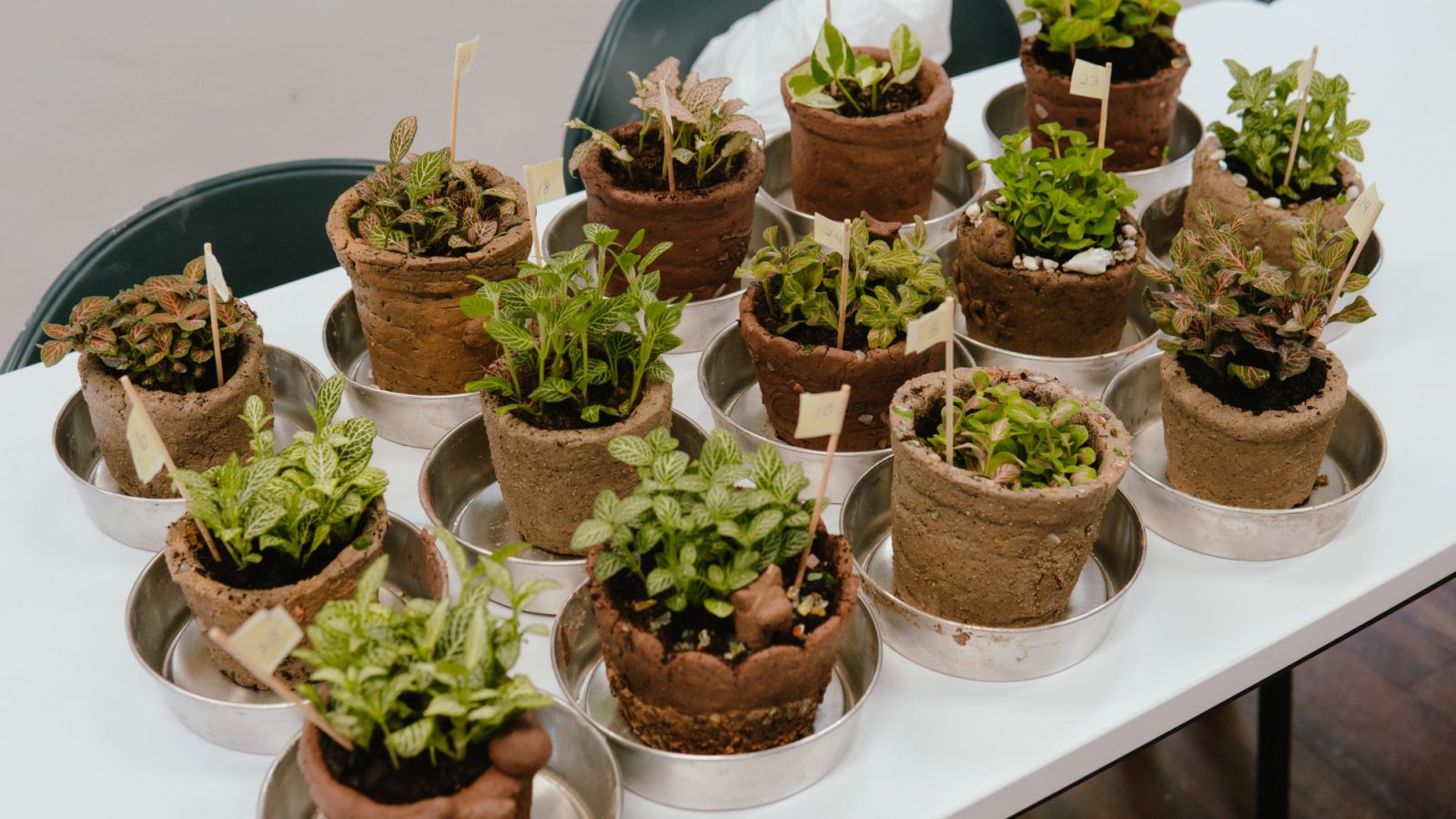 Crafting Clay Pots & Fertile Soil with Upcycled Coffee Grounds, a workshop at Green-House 2024 by Nespresso, The Freestyle Farmer and Ferticlay