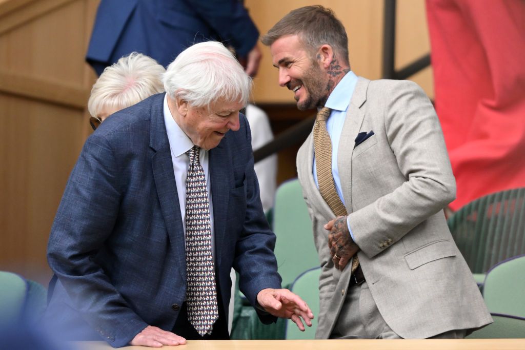 LONDON, ENGLAND - JULY 01: David Attenborough and David Beckham attend day one of the Wimbledon Tennis Championships at the All England Lawn Tennis and Croquet Club on July 01, 2024 in London, England. (Photo by Karwai Tang/WireImage)