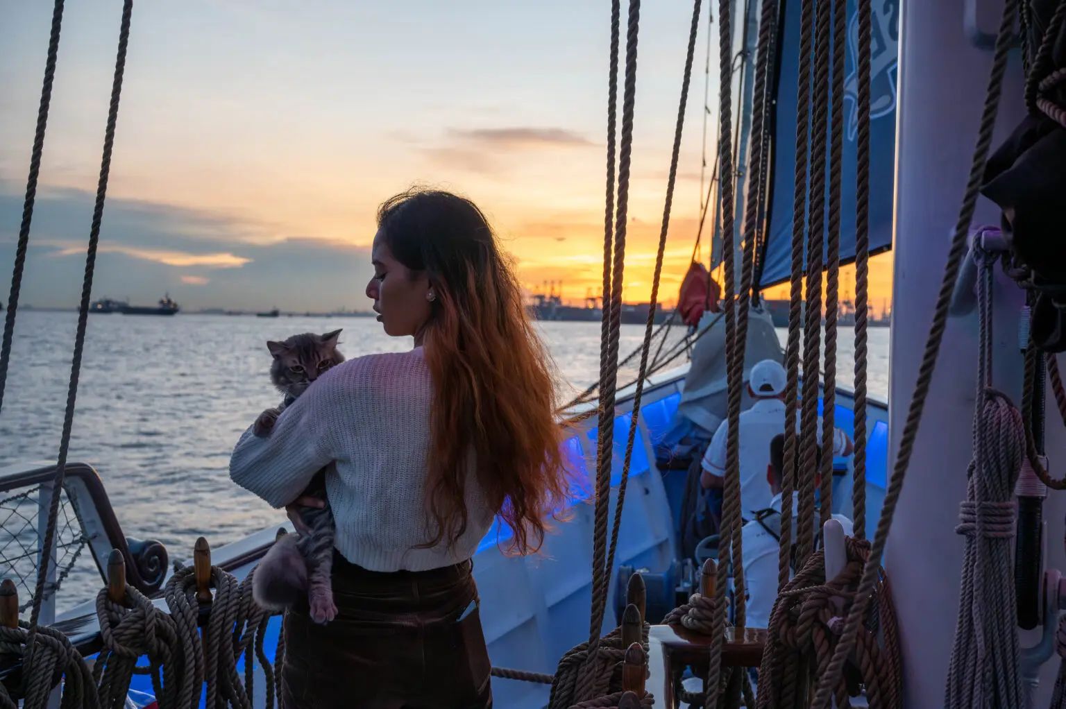 Crazy about cats? 5 cool experiences in Asia you shouldn’t miss