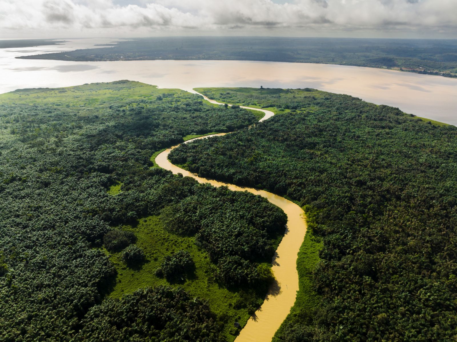 Amazonie main image 1