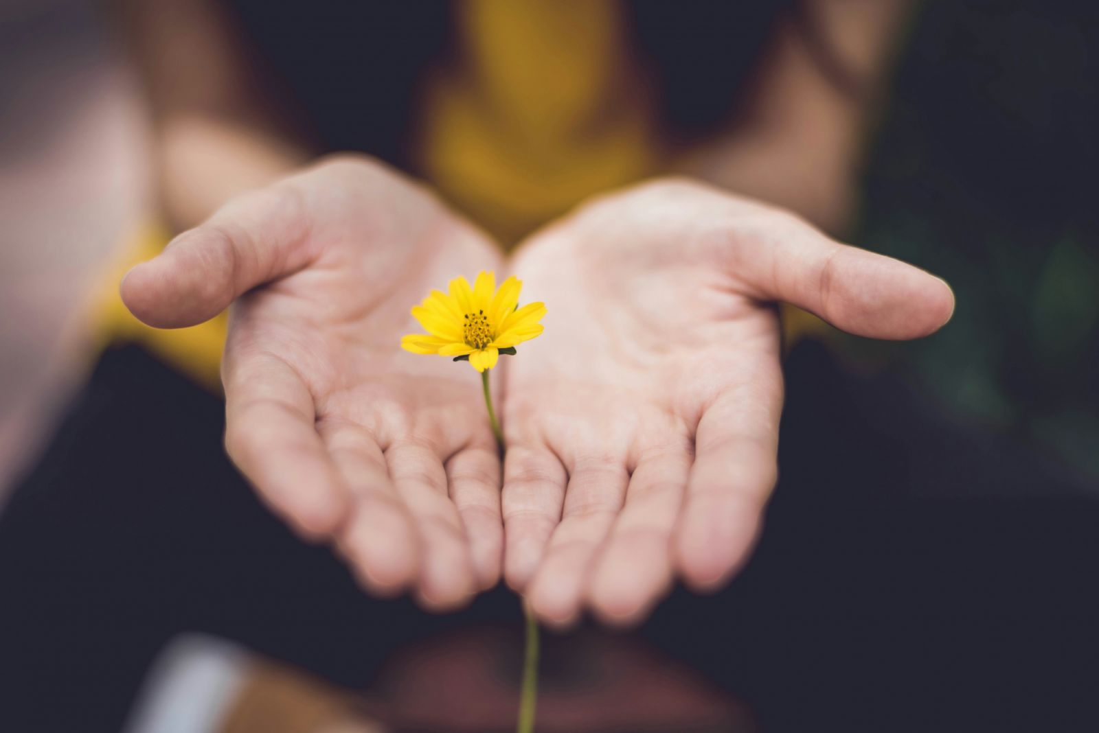 Consistency is key in meditation practice (Photo: Unsplash)