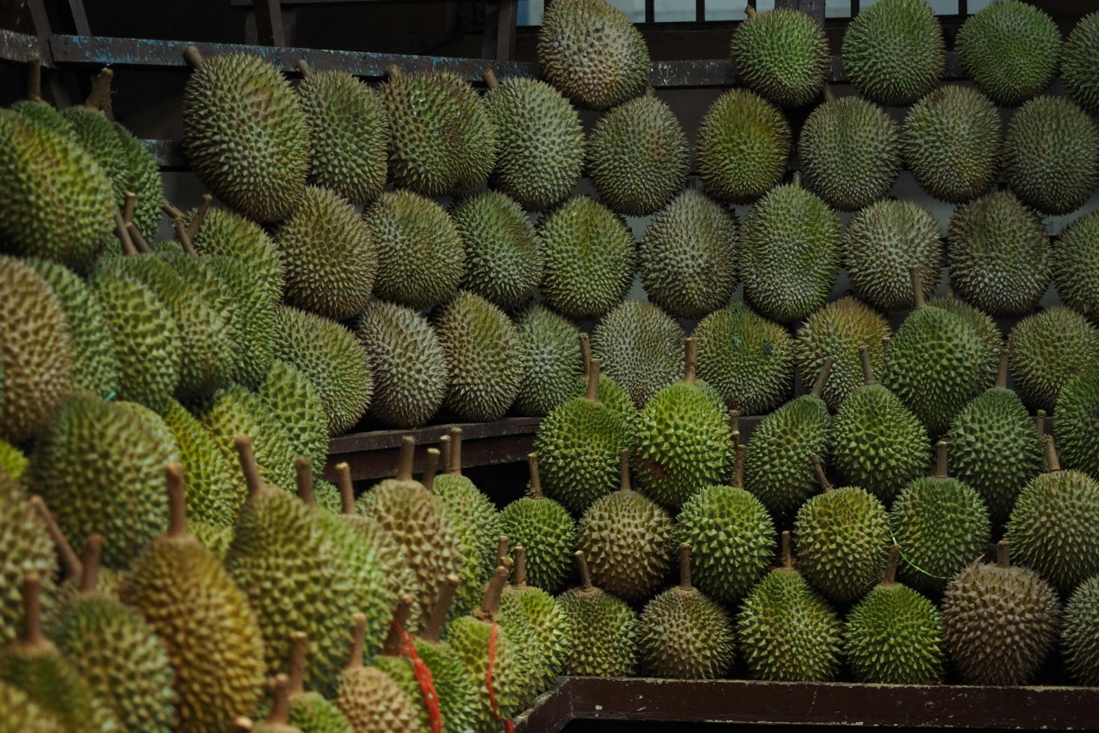 Durian, a fruit shrouded by misconceptions (Photo: Unsplash)