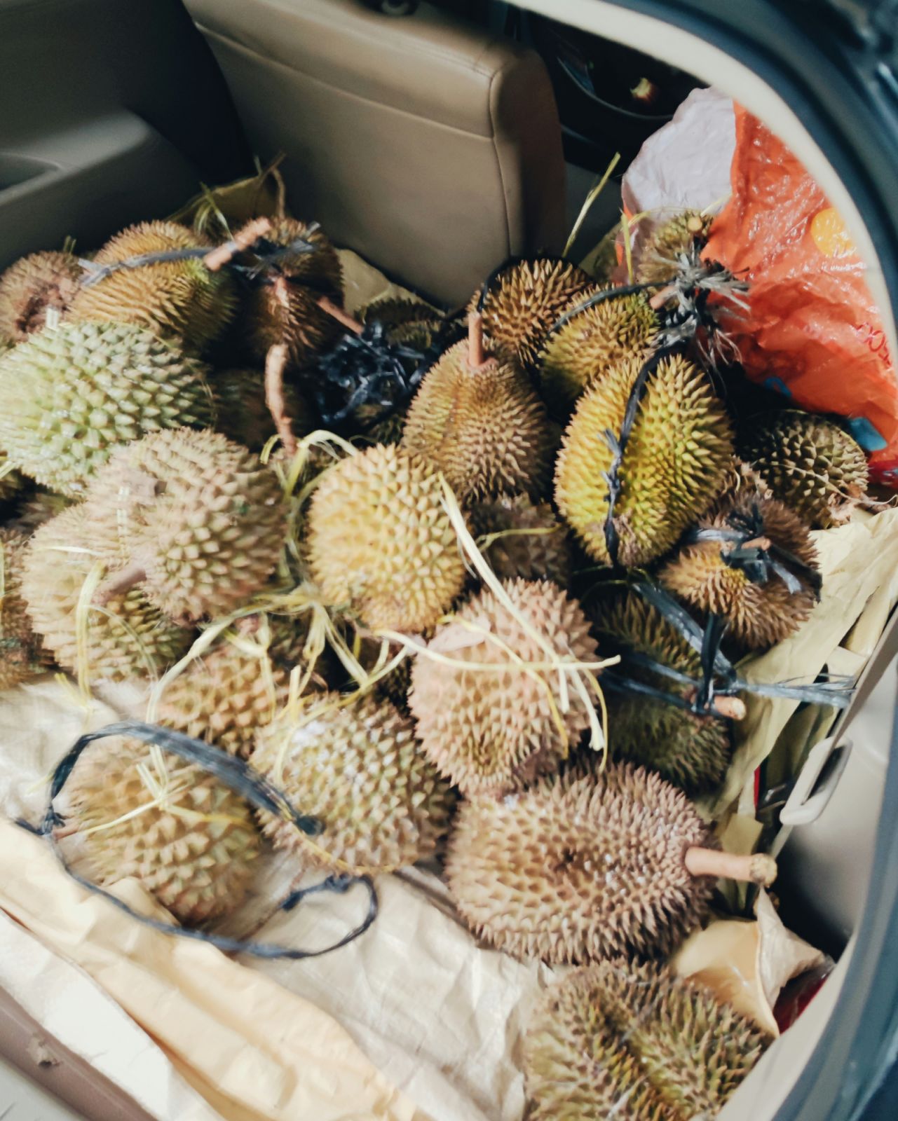 Durians piled into the boot of a car (Photo: Dupe Photos)