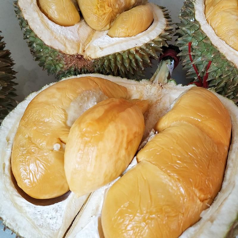 黑刺榴槤(Photo: gooddurian.id)