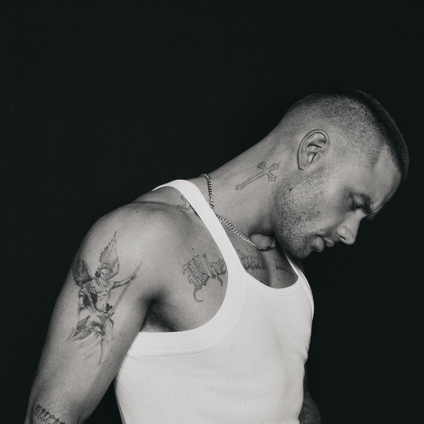 (Photo: Instagram @liampayne)