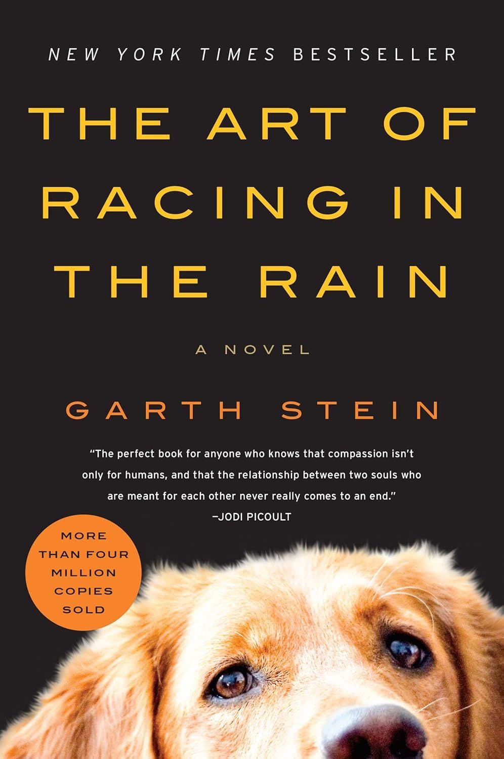 Car Racing: The Art of Racing in the Rain by Garth Stein