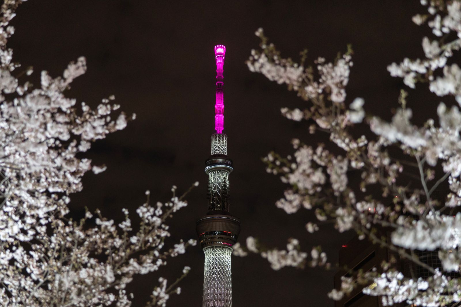 Top 2:日本東京