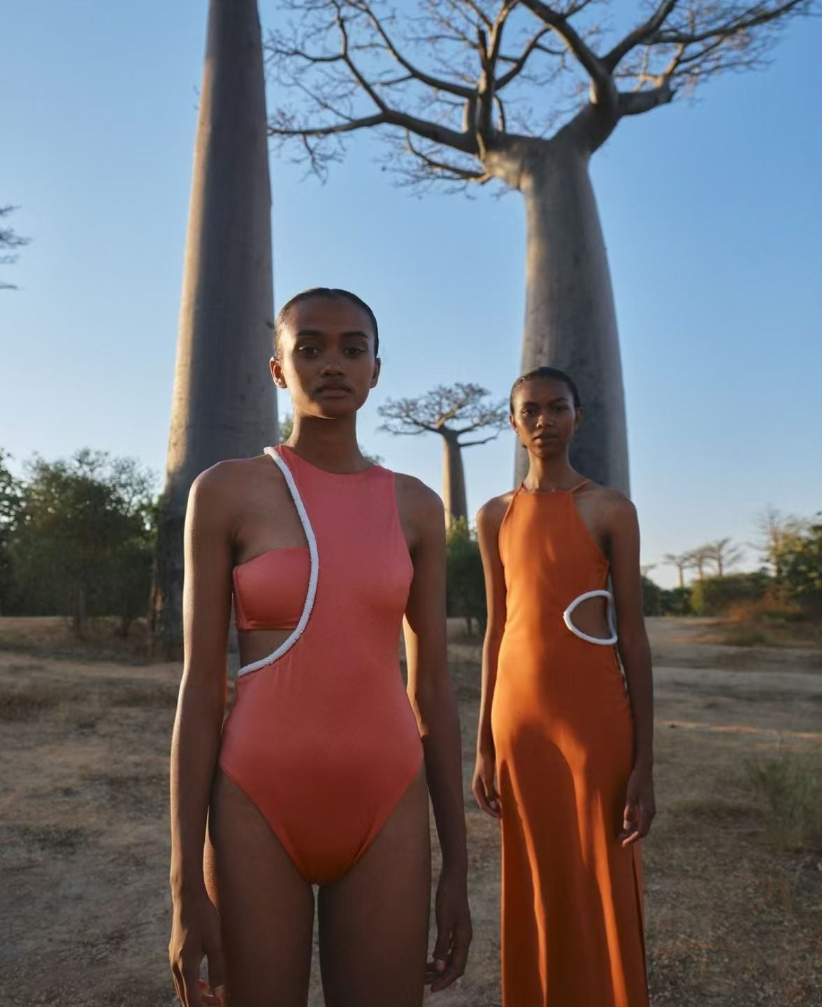 Baobab