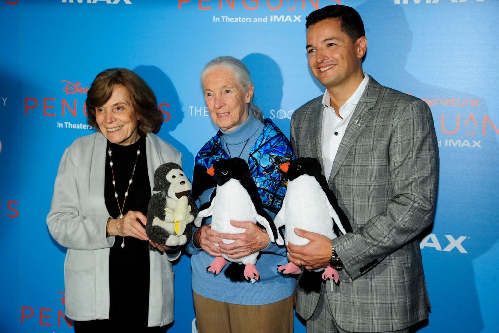 From left to right: Marine biologist Dr Sylvia Earle with renowned primatologist Jane Goodall and environmentalist Pablo Borboroglu at a special screening of “Penguins” at AMC Lincoln Square Theater on April 14, 2019 in New York City (Photo by Paul Bruinooge/Patrick McMullan via Getty Images)