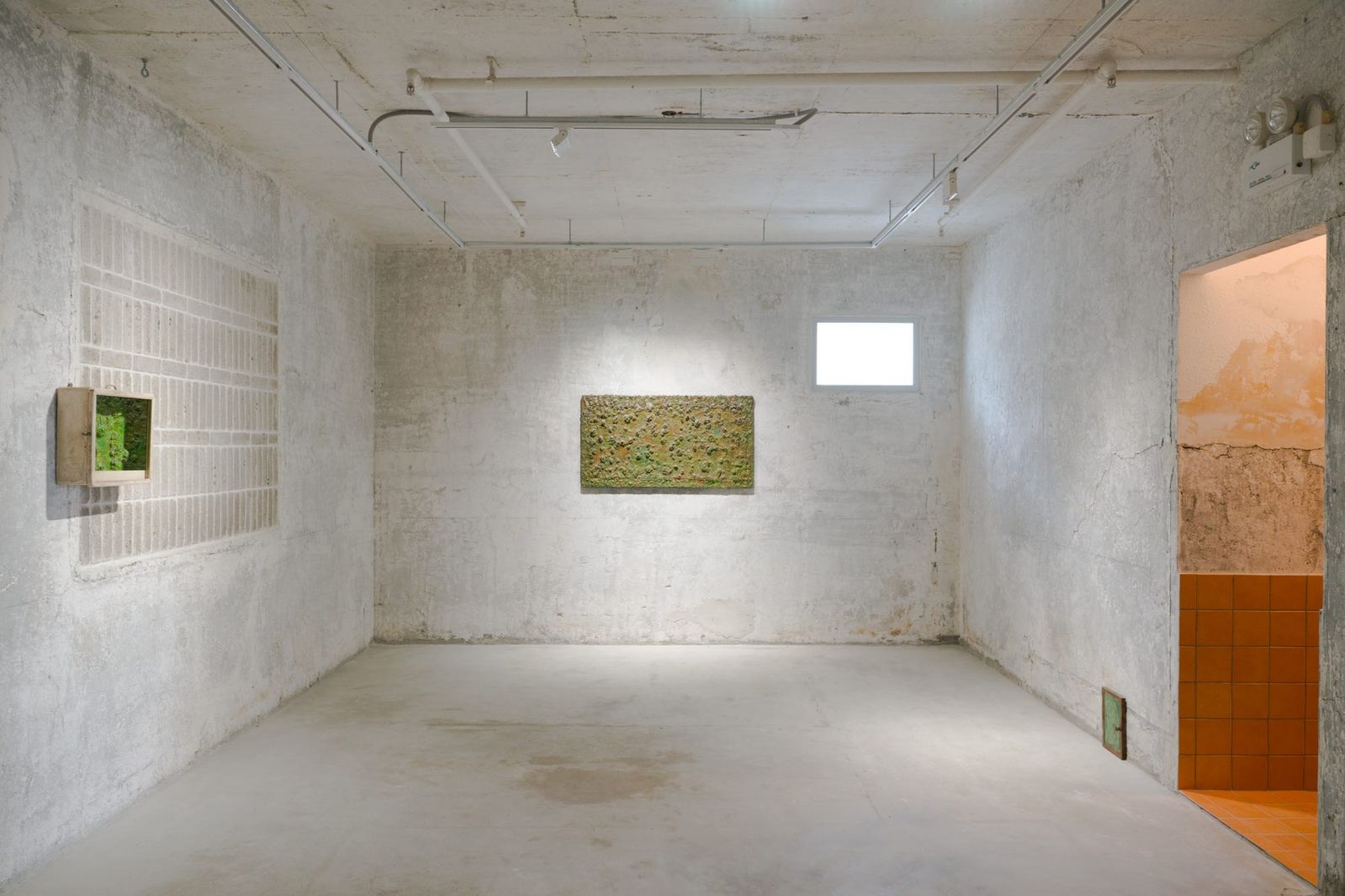 Installation view of “Dreamskin,” a solo show by Chan Ting, at PHD Group, Hong Kong, 2024. (Photo: Felix SC Wong, Courtesy the artist and PHD Group)