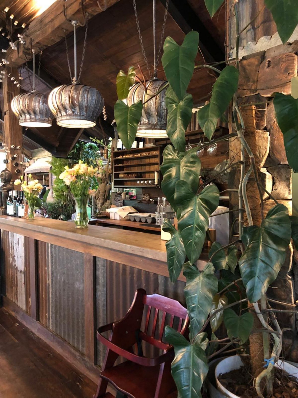 Tuny Resto Farm - Bar