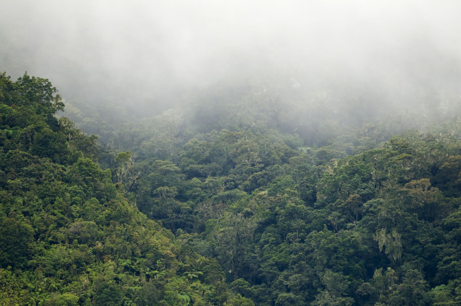 Why these 8 Filipino sites deserve Unesco World Heritage status