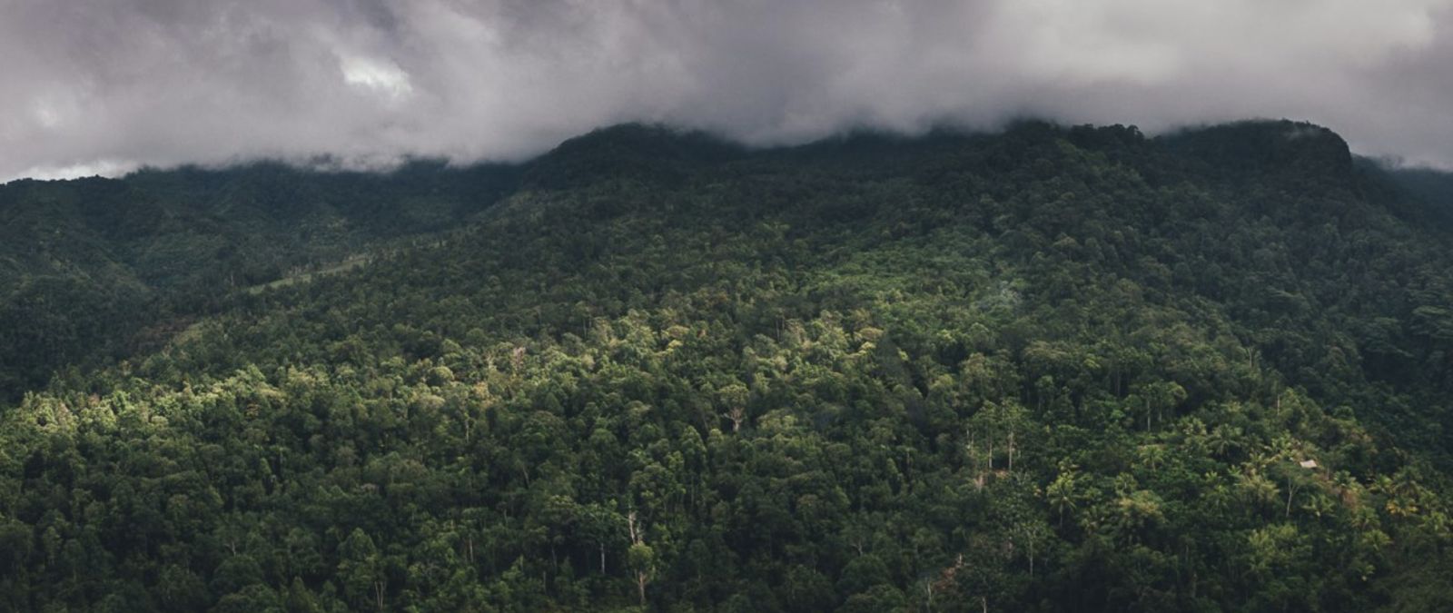 Mountains in Davao Oriental (Photo: Website/Province of Davao Oriental)